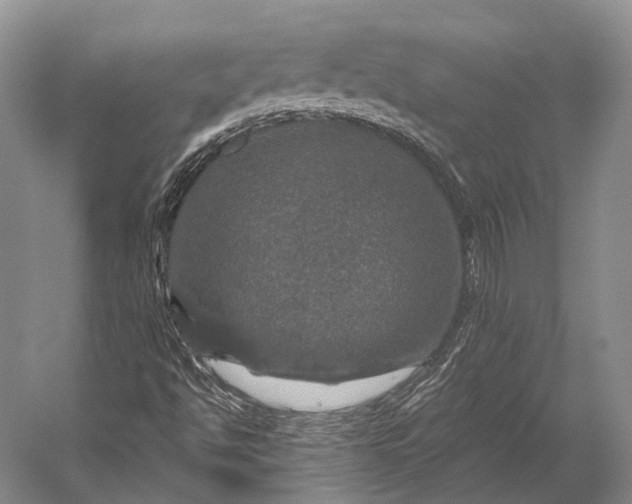 X0000056331494200509161655