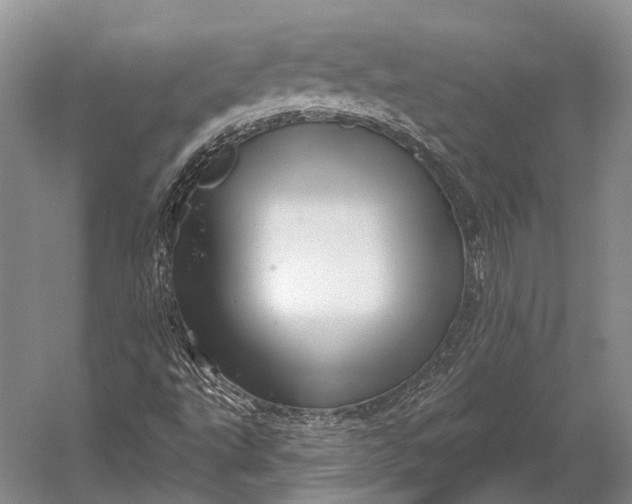 X0000056331495200509161655