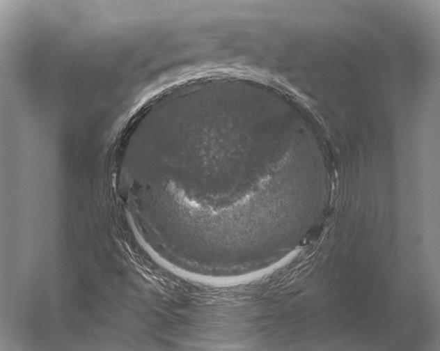 X0000056331496200509161655