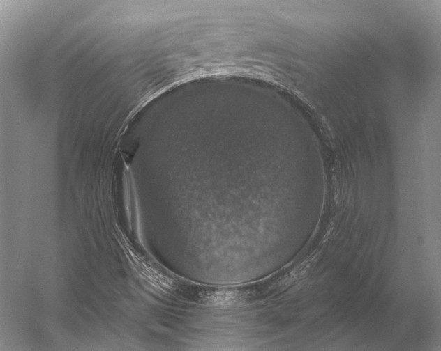 X0000056331497200509161655