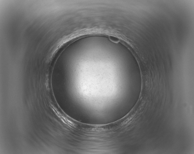 X0000056331499200509161655