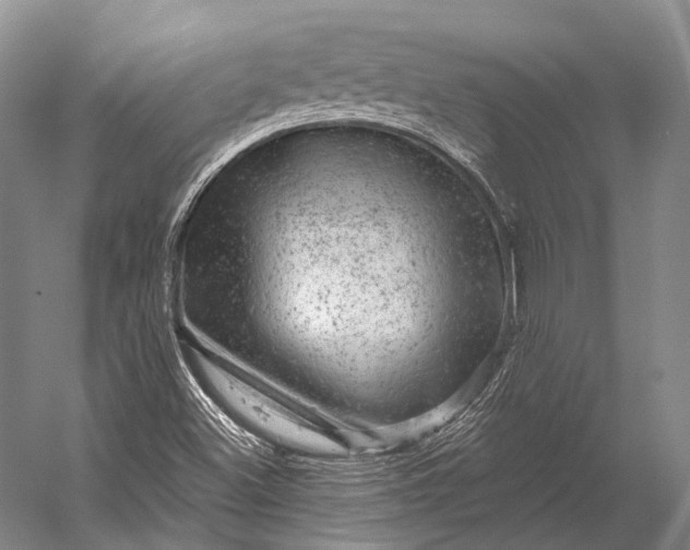 X0000056331500200509161655