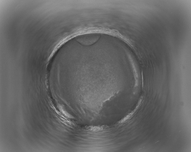 X0000056331501200509161655