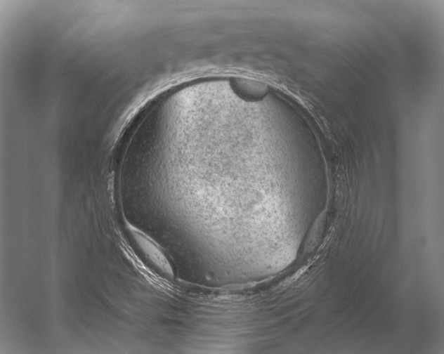 X0000056331503200509161656