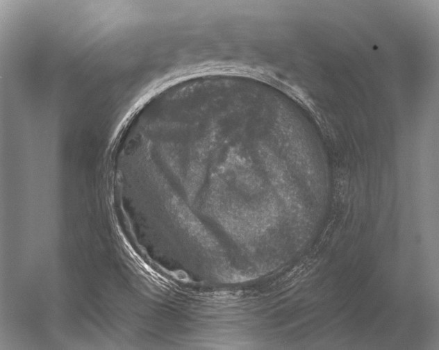 X0000056331504200509161656