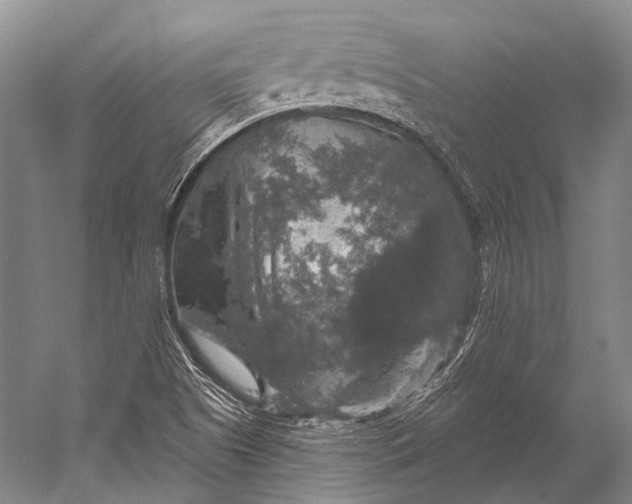 X0000056331505200509161656