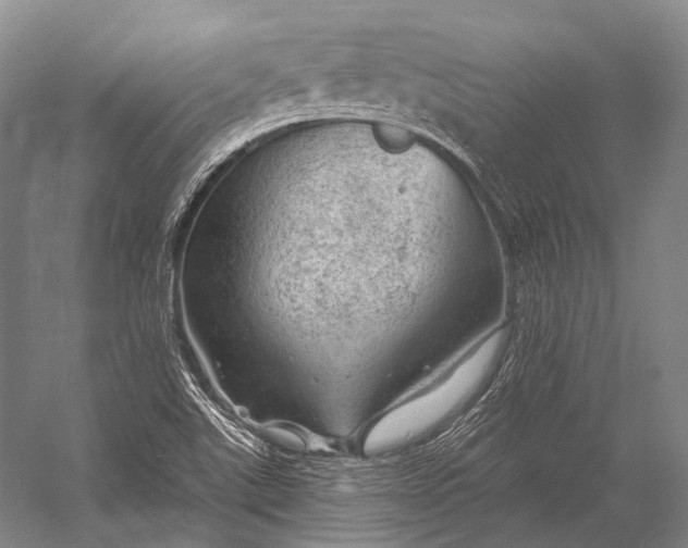 X0000056331507200509161656