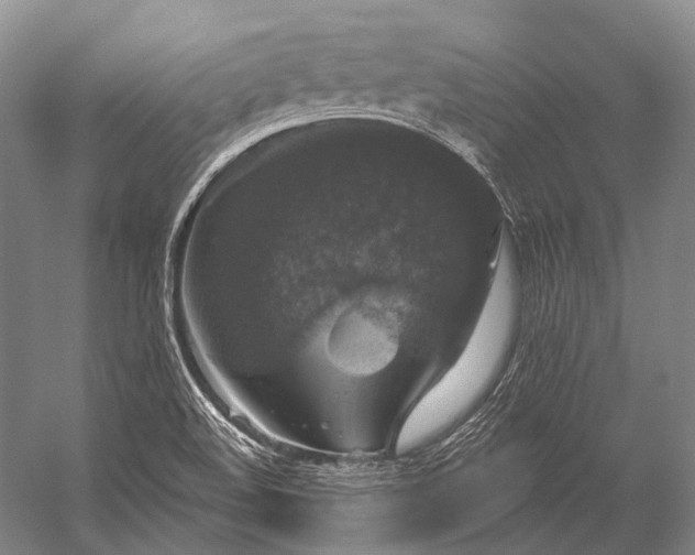 X0000056331508200509161656