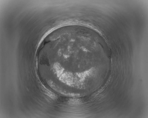 X0000056331509200509161656