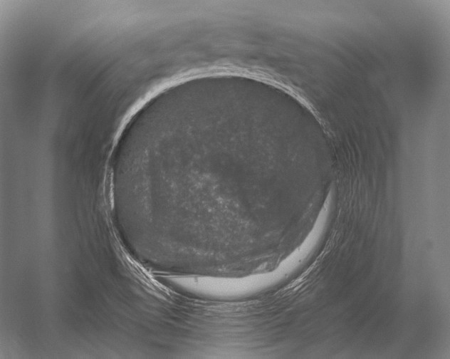 X0000056331510200509161656