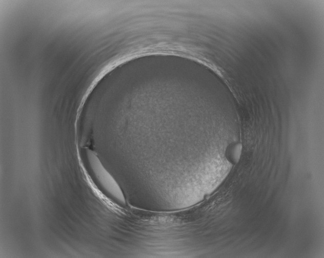 X0000056331515200509161656