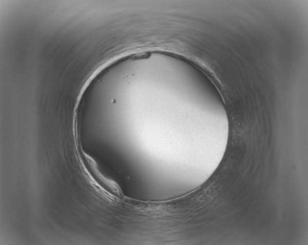 X0000056331516200509161656