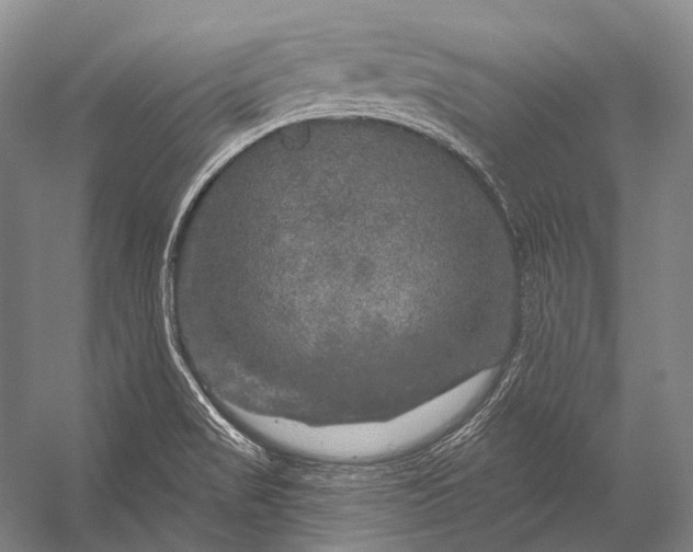 X0000056331517200509161656