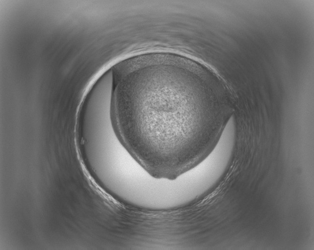 X0000056331518200509161656