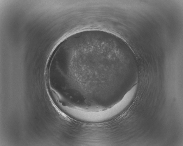 X0000056331519200509161656