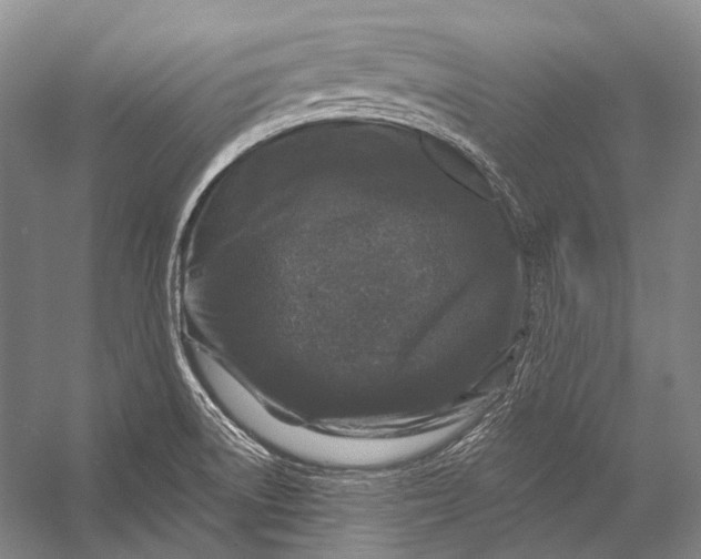 X0000056331522200509161656