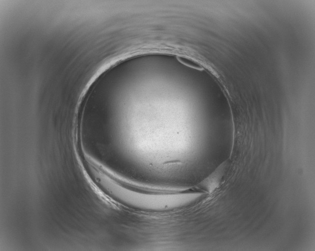 X0000056331523200509161656