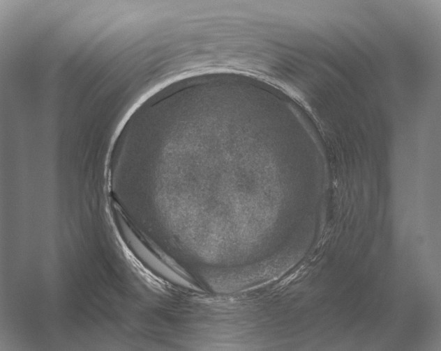 X0000056331524200509161656