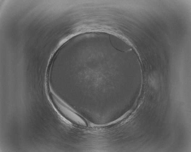 X0000056331525200509161656