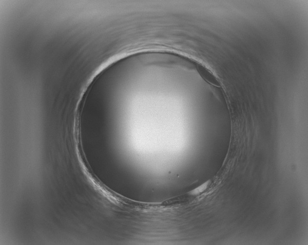 X0000056331526200509161656