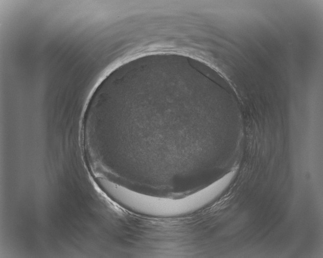 X0000056331527200509161656