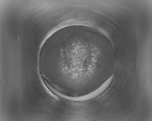 X0000056331528200509161656