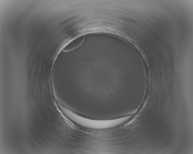 X0000056331529200509161656