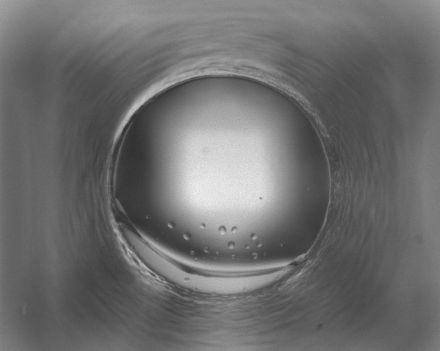 X0000056331530200509161656