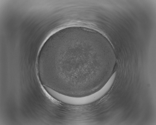 X0000056331531200509161656