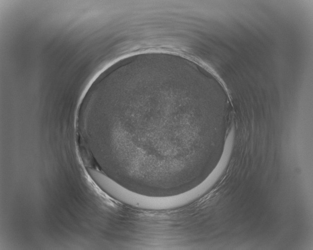 X0000056331532200509161656