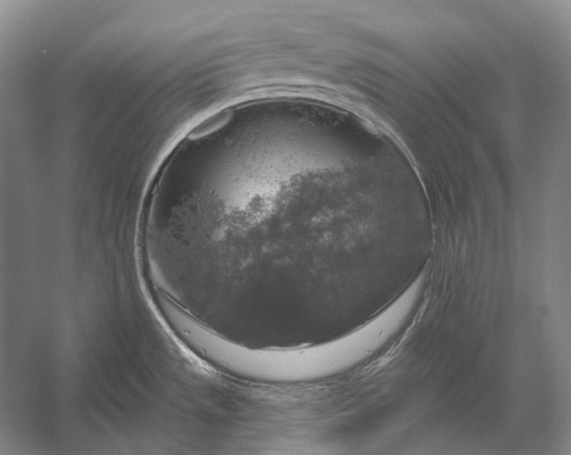 X0000056331533200509161656