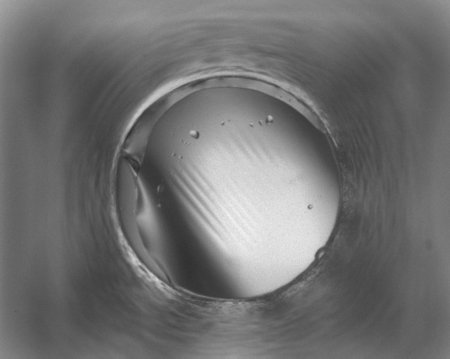 X0000056331534200509161656