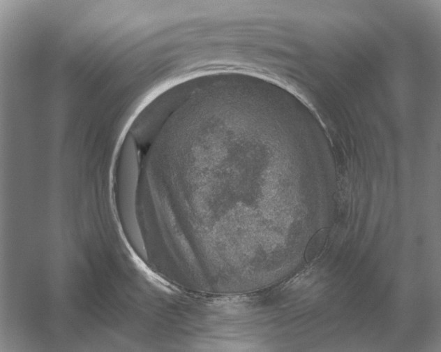 X0000056331535200509161656