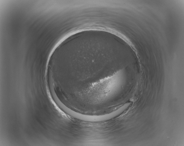 X0000056331536200509161656