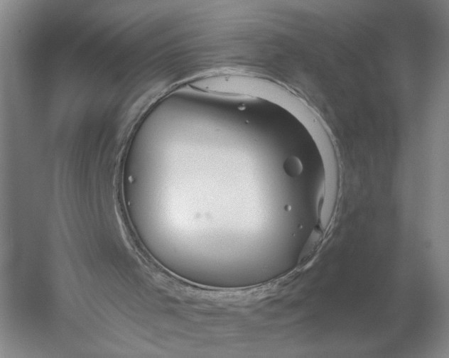 X0000056330001200509232025