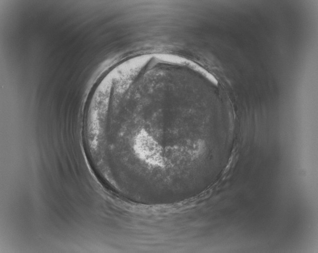 X0000056330003200509232025