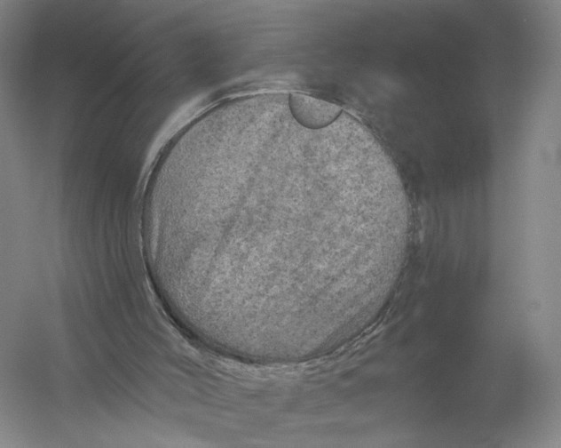 X0000056330004200509232025