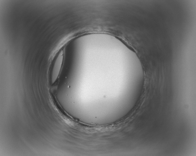 X0000056330005200509232025