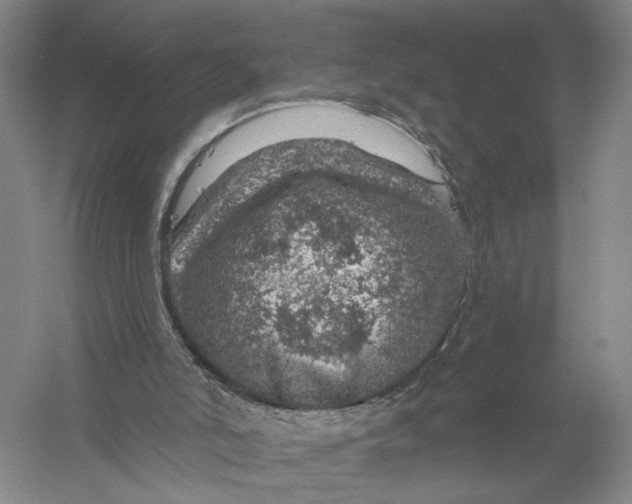 X0000056330006200509232025