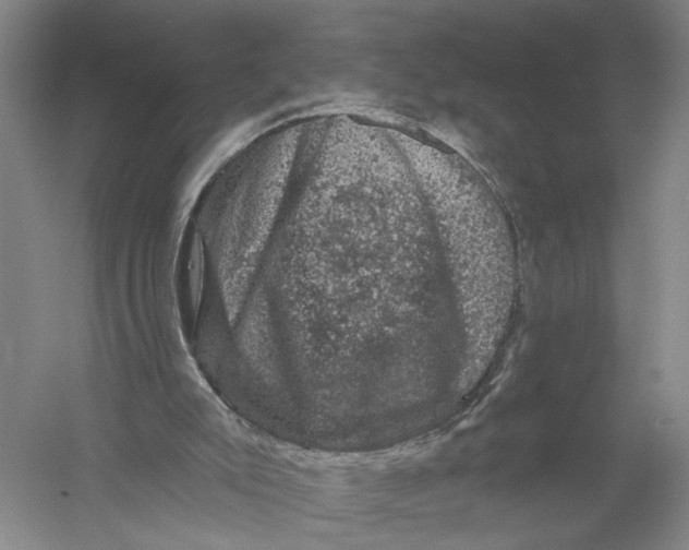 X0000056330007200509232025