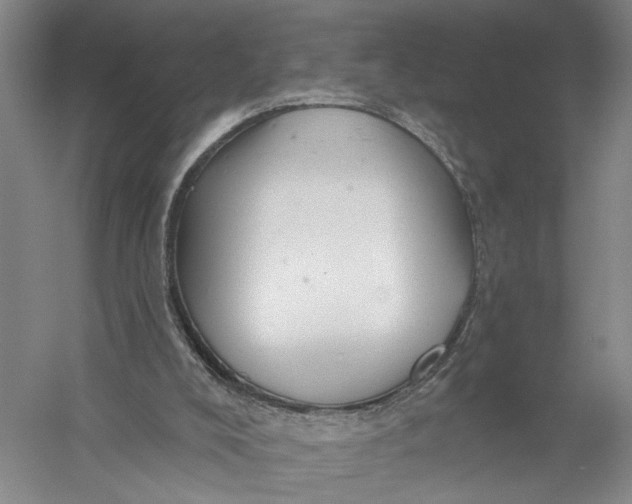 X0000056330008200509232025