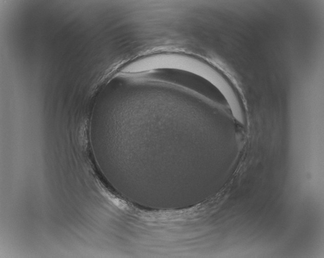 X0000056330009200509232025