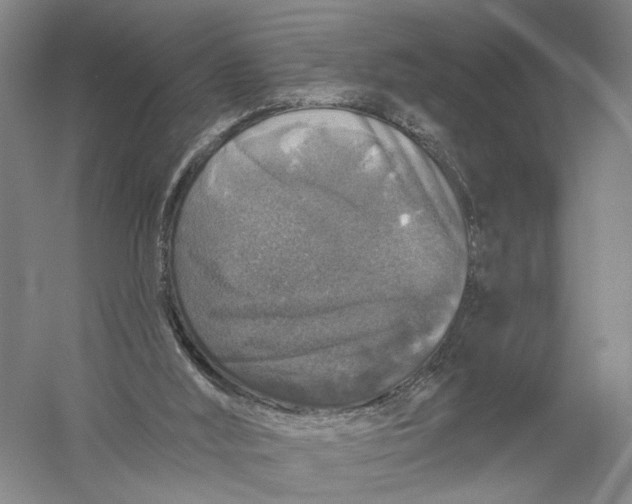 X0000056330012200509232025