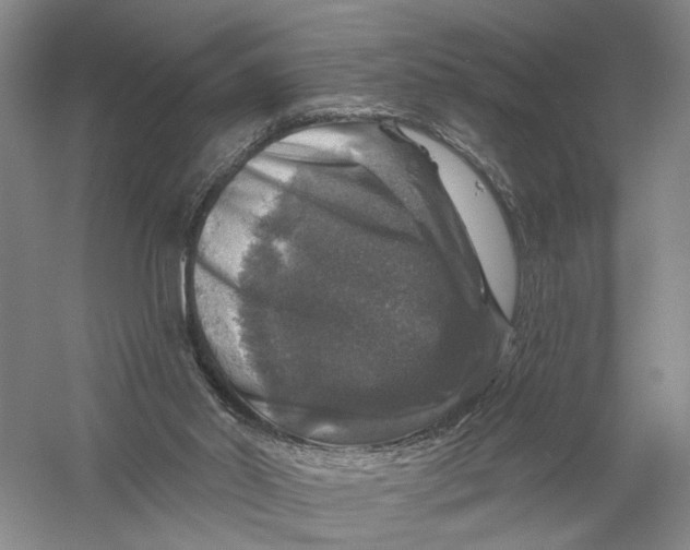 X0000056330014200509232025