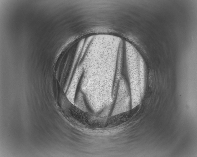 X0000056330015200509232025