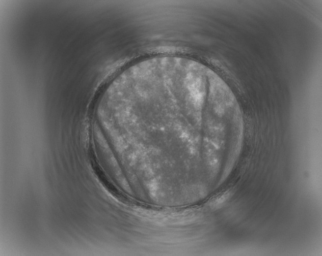 X0000056330016200509232025