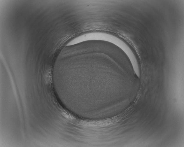 X0000056330017200509232025