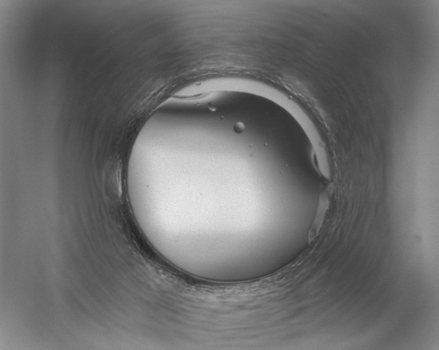 X0000056330021200509232025