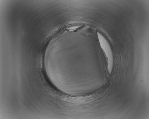 X0000056330023200509232025