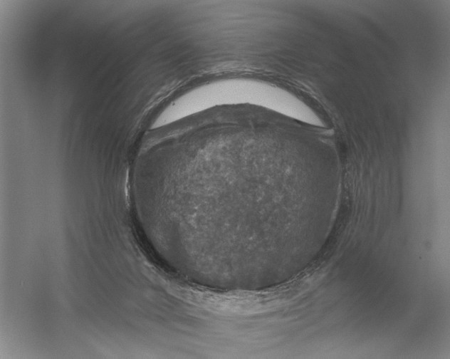 X0000056330024200509232025